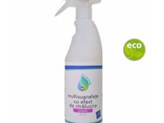 Detergent Shine Cleaner - DD 414 - 750 ml